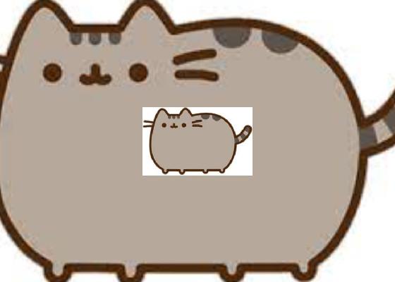 pusheen lagger