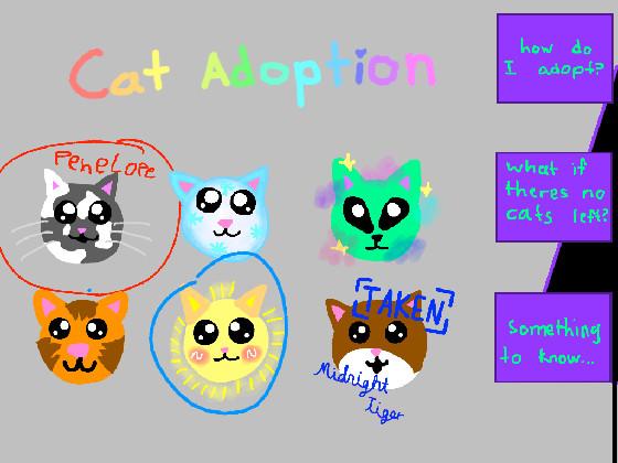 Cat adoption 1 1