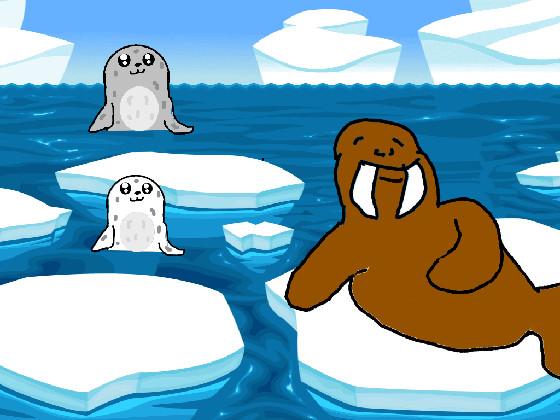 Seals and Walrus 1