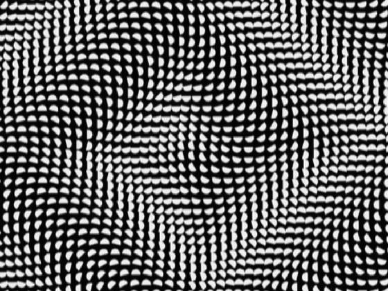 Optical Illusion 19