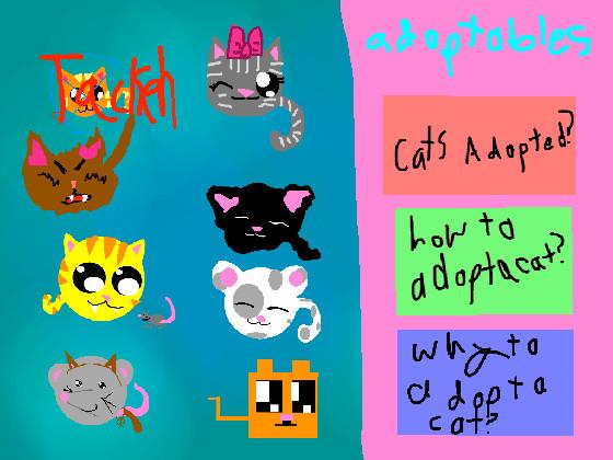 adopt a cat 1