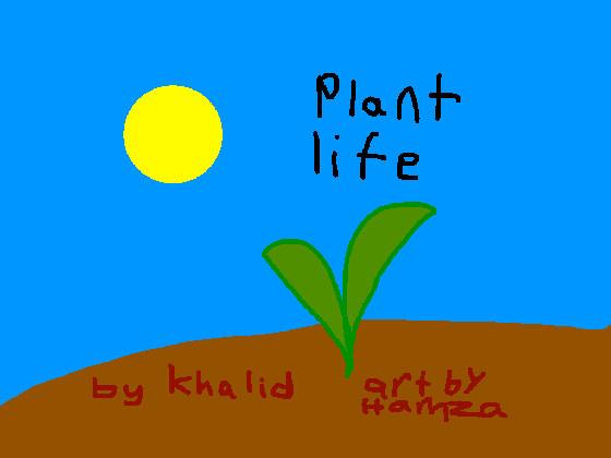 Plant Life