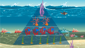 Ocean Ecological Pyramid