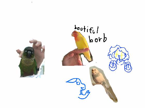 re:like or my bird will cri ;(  1