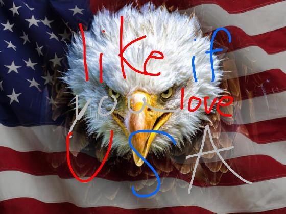 like if you love USA