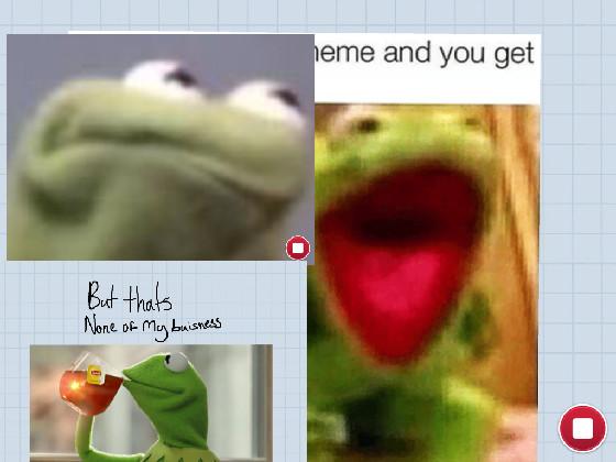 you and kermit