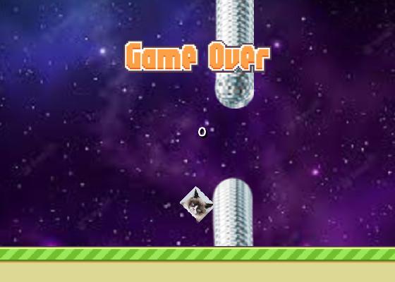 Flappy Space grumpy cat