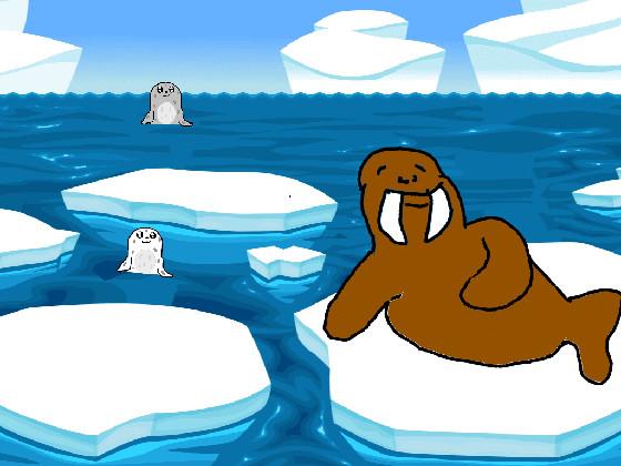 Seals and Walrus 1