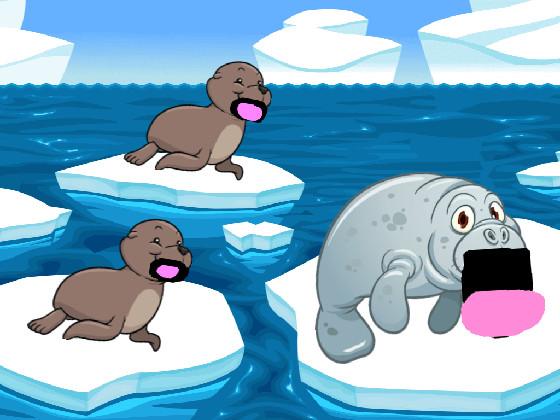 Seals and Walrus 