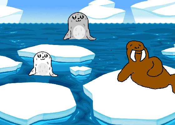 Seals and Walrus 1