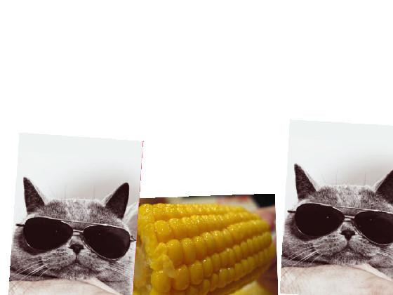 iT’S cOrN song 1 1 1 1remix