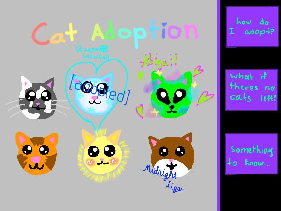 Cat adoption 1 1 1 1