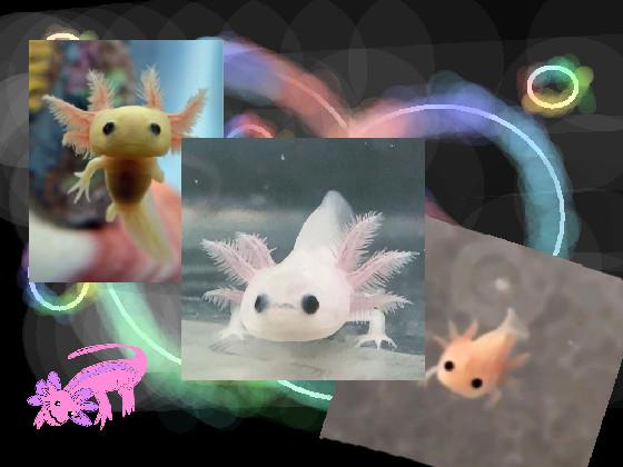 Baby axolotols!!