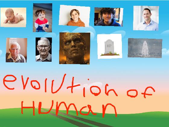 human evolution