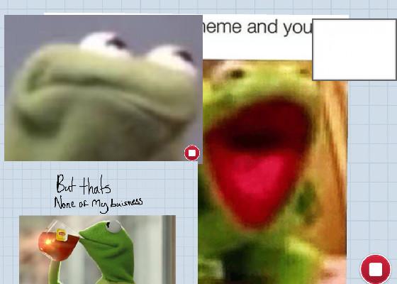 you and kermit 1