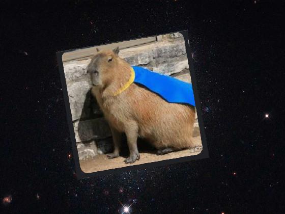 My Capybara