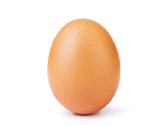 GIB US DA EGG