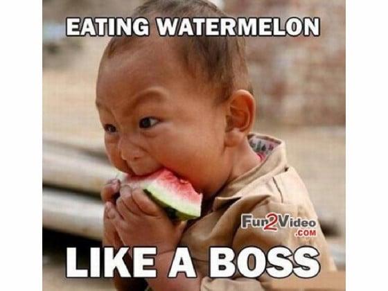 meme watermelon 1