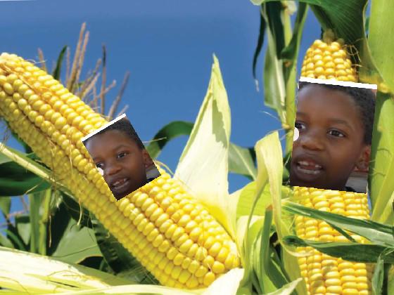 CoRn KiD