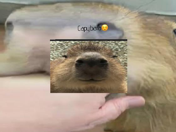 spin a capybara :) 1