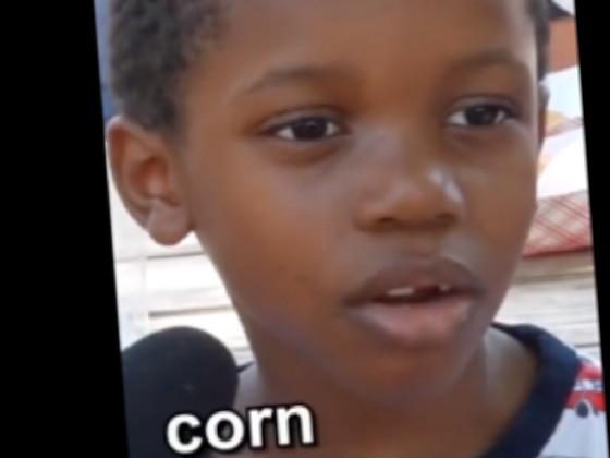 corn 1