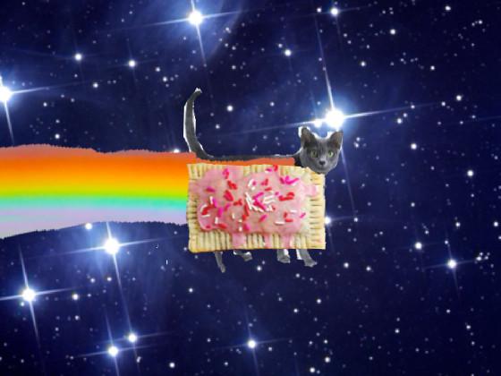 Real nyan cat 1