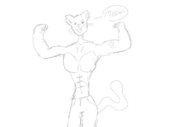 BUFF CAT