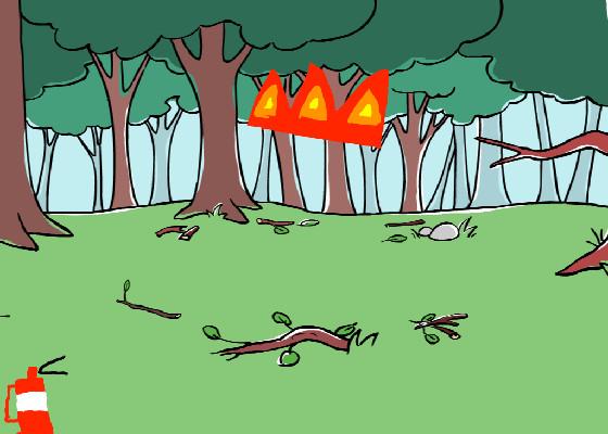 fires in the forest!