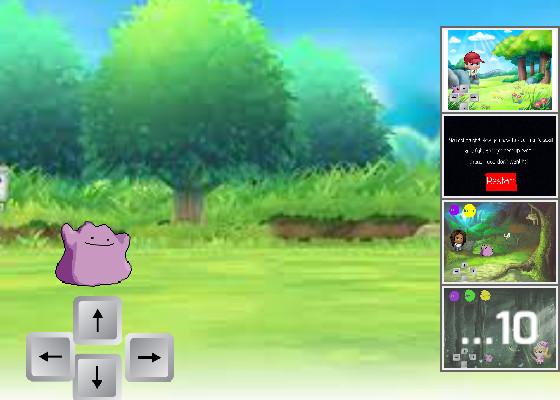 feed the ditto