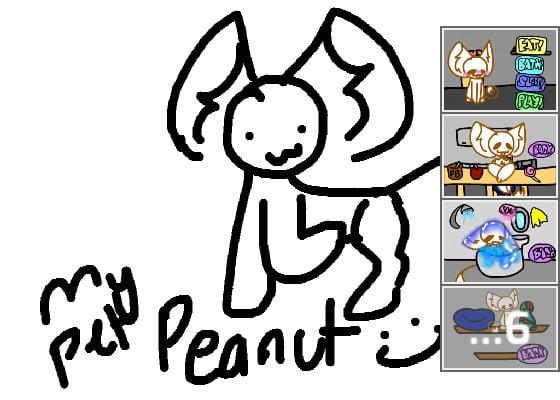 My pet peanut (4 neo) 1
