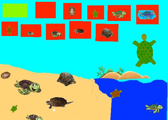 Turtle Clicker!  1