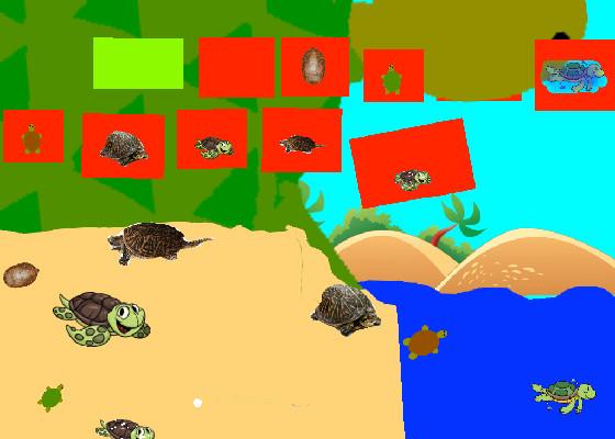 Turtle Clicker!  1