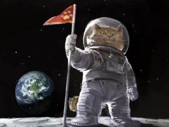 kitty on na moon