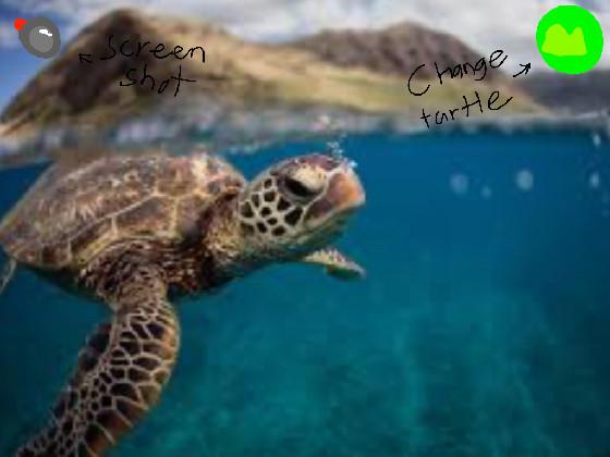 Save the turtles!