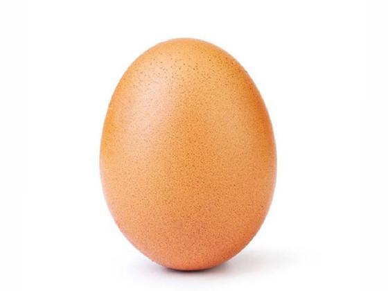 Egg