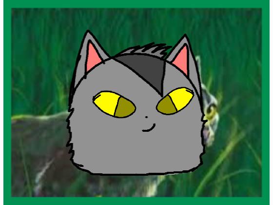 Graystripe challenge