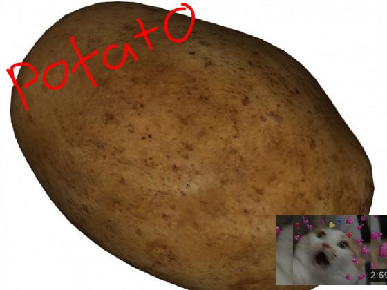 potato ❤️❤️❤️💞💗