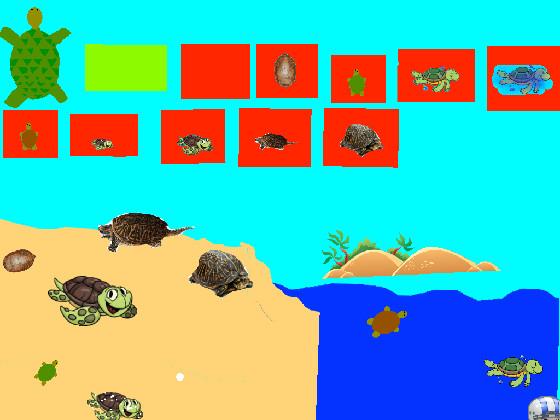 Turtle Clicker!  1