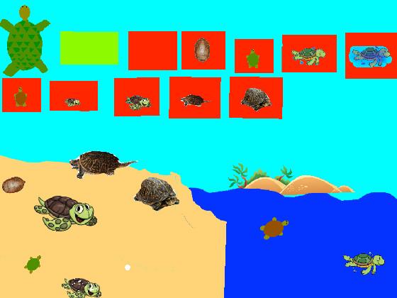 Turtle Clicker hacked