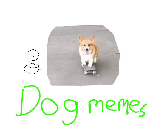 DOG MEME