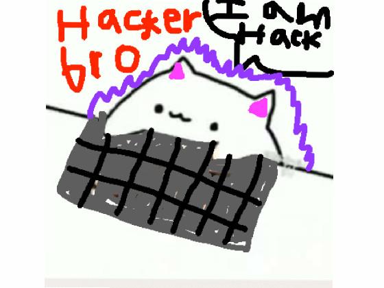  hacker cat 