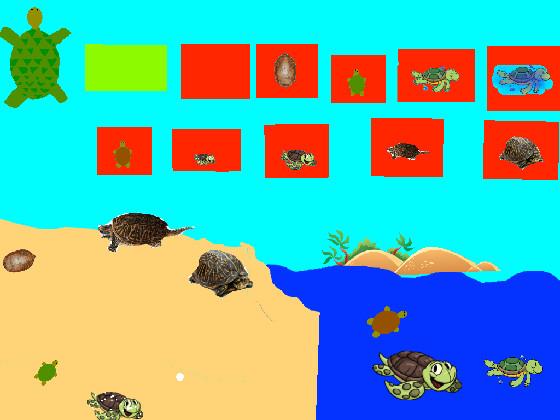 Turtle Clicker!  1