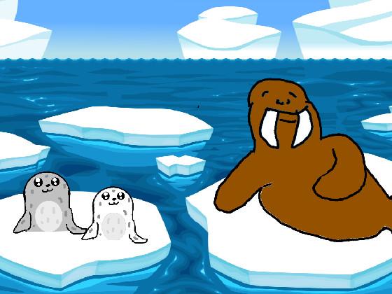 Seals and Walrus 1