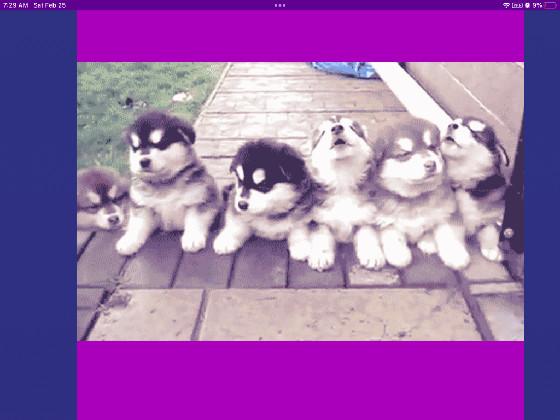 huskes