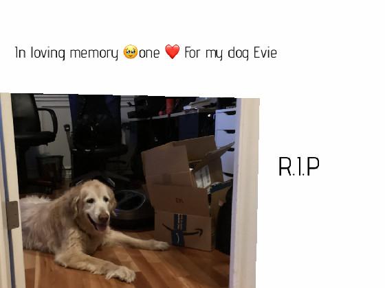 R.I.P.my dog Evie