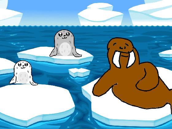 Seals and Walrus 1