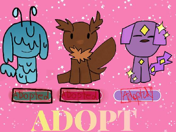 Adoption Center :3 1