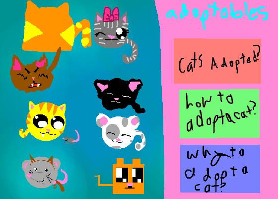 adopt a cat 1