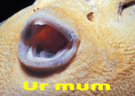 when pufferfish is sussy