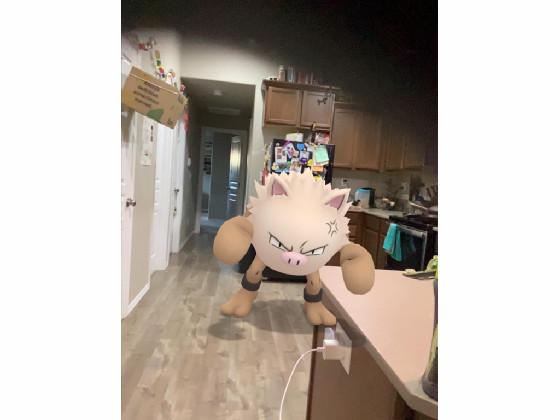 just a primeape(touch)